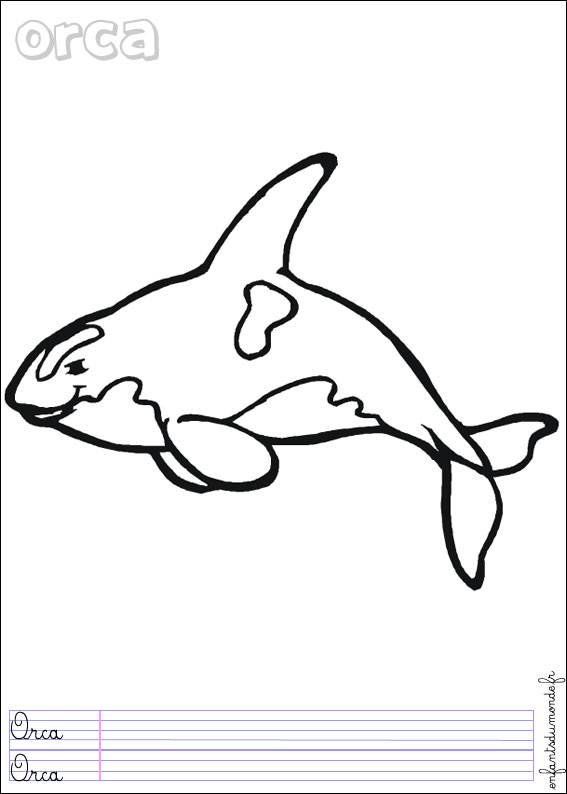 coloriage orque 1